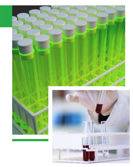 Xinyi Meijin Chemical Technology Co., Ltd.